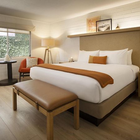 קליסטוגה Dr Wilkinsons Backyard Resort And Mineral Springs A Member Of Design Hotels מראה חיצוני תמונה