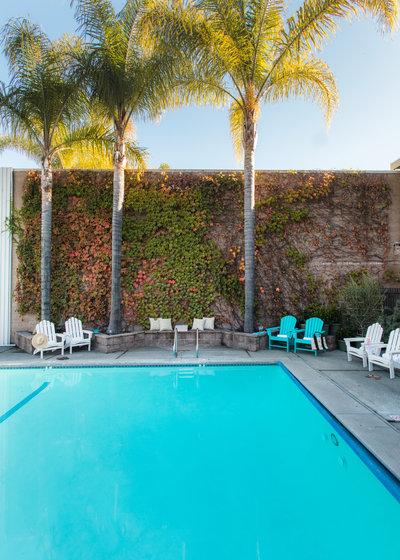 קליסטוגה Dr Wilkinsons Backyard Resort And Mineral Springs A Member Of Design Hotels מתקנים תמונה